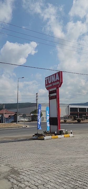 Fotoğraf 17