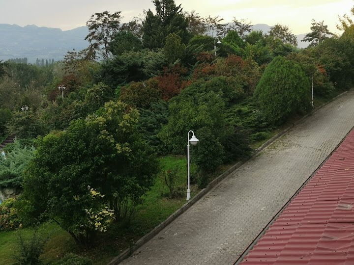 Fotoğraf 38