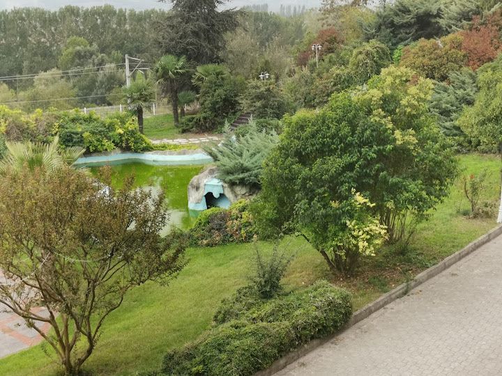 Fotoğraf 39