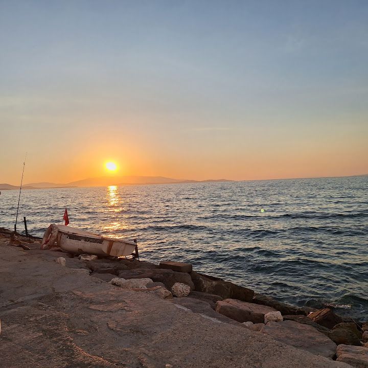 Fotoğraf 33