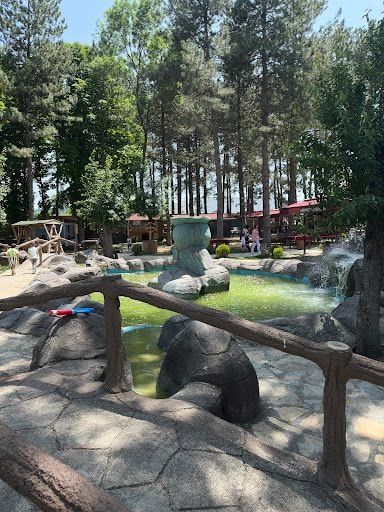 Yorum fotoğrafı 10