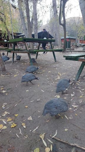 Yorum fotoğrafı 3