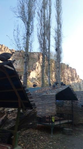 Yorum fotoğrafı 8