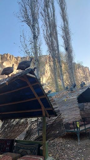 Yorum fotoğrafı 9