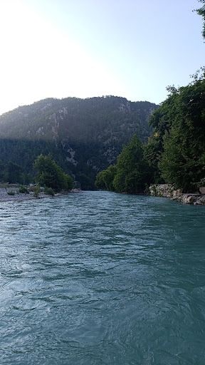 Yorum fotoğrafı 6