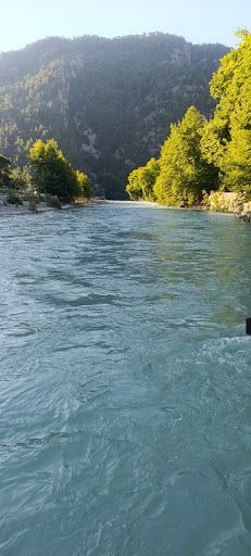 Yorum fotoğrafı 7