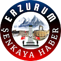 Turan Aktürk