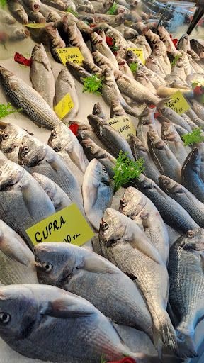Fotoğraf 32