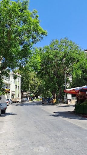 Fotoğraf 33