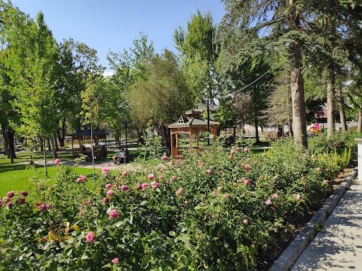 Yorum fotoğrafı 9