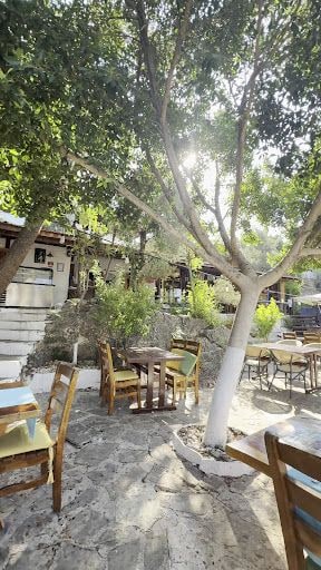 Yorum fotoğrafı 3