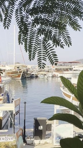 Yorum fotoğrafı 4