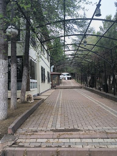 Yorum fotoğrafı 9