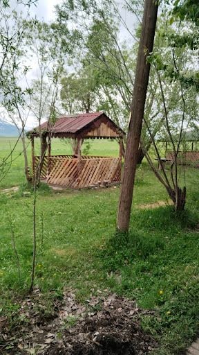 Yorum fotoğrafı 6