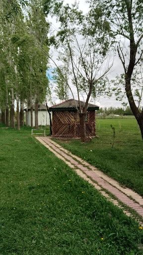 Yorum fotoğrafı 7