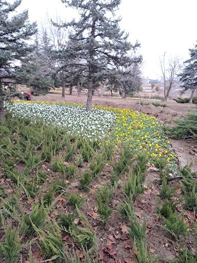 Yorum fotoğrafı 4