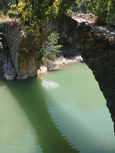 Yorum fotoğrafı 3