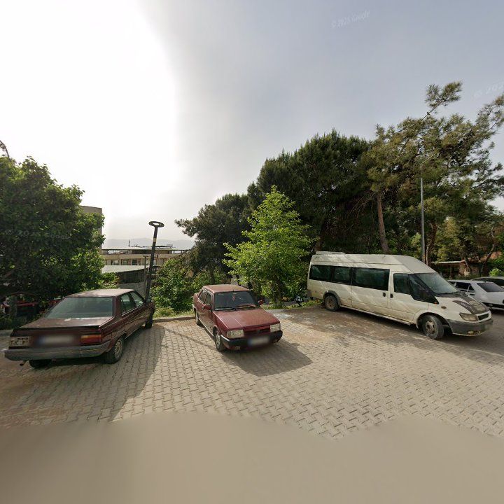 Fotoğraf 7
