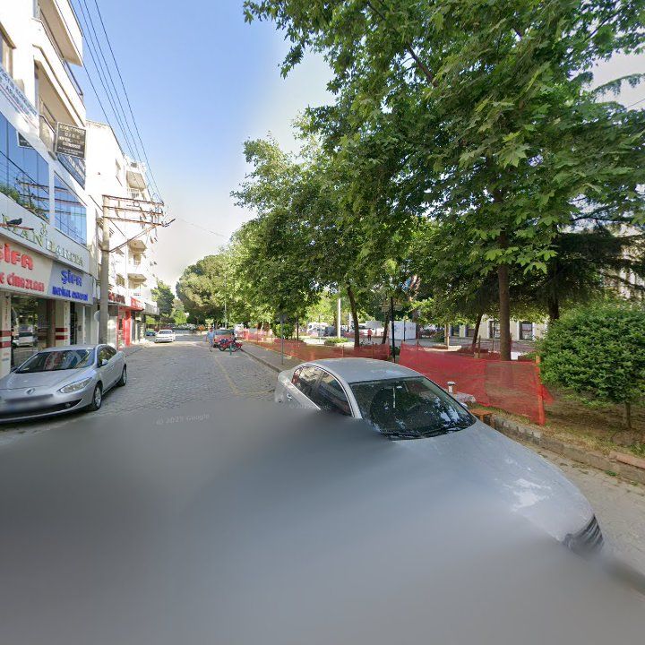 Fotoğraf 11
