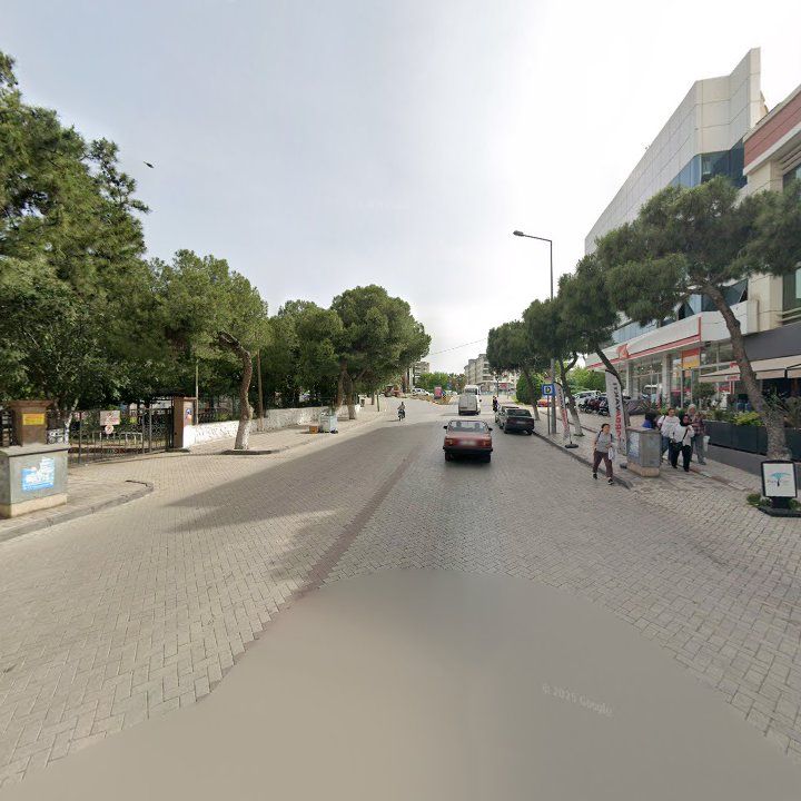 Fotoğraf 10