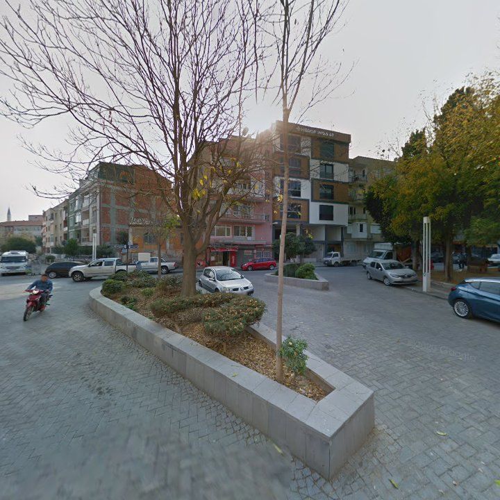 Fotoğraf 8