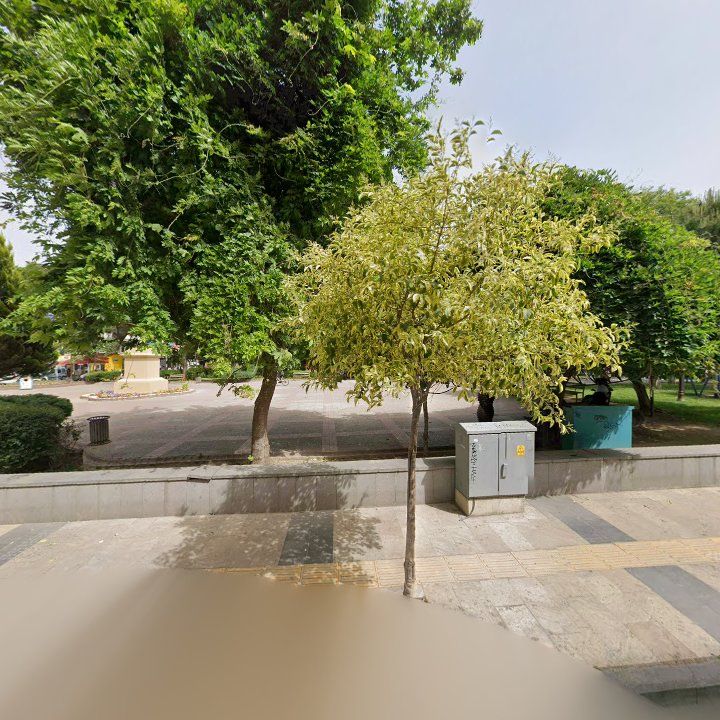 Fotoğraf 9