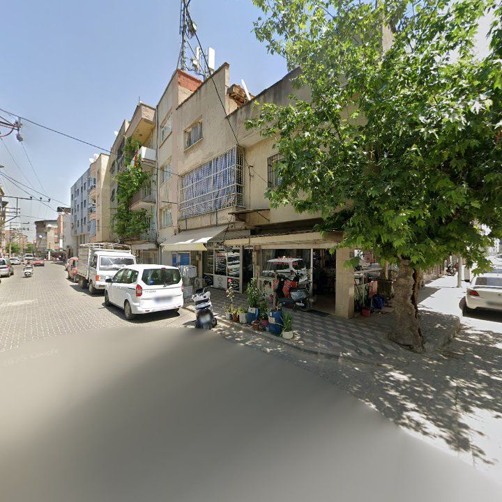 Fotoğraf 2