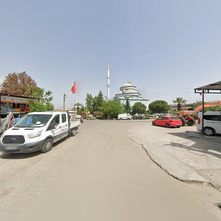 Fotoğraf 7