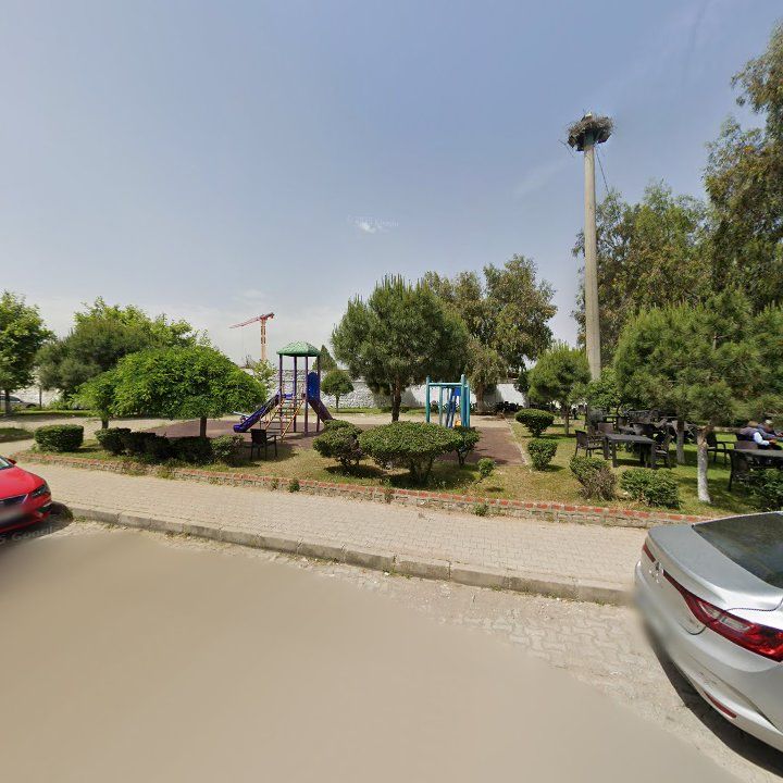 Fotoğraf 7