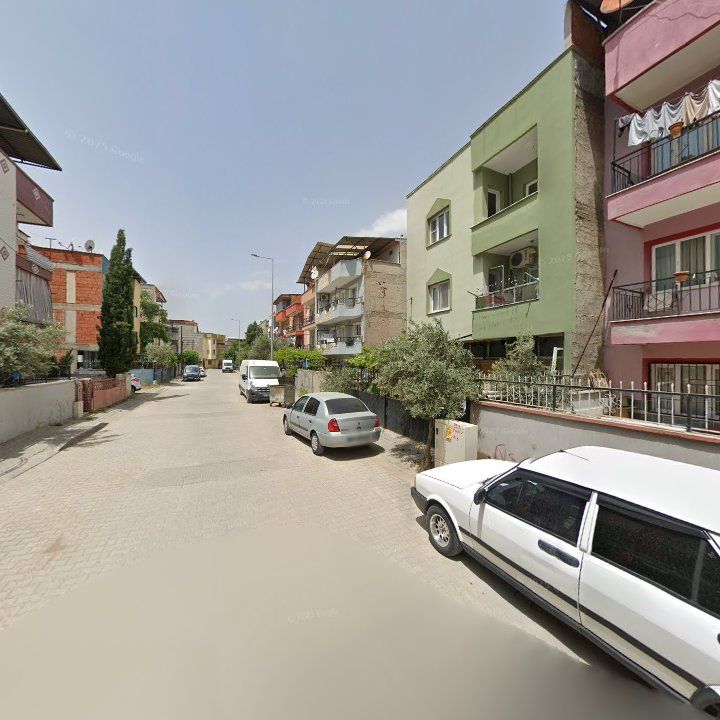 Fotoğraf 3