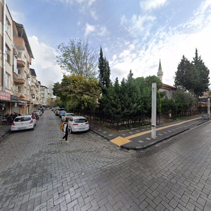 Fotoğraf 8