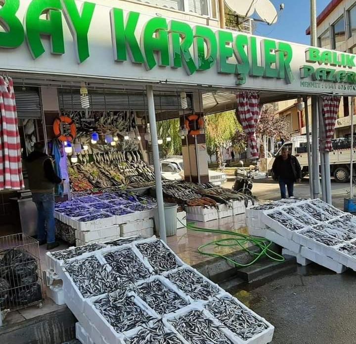 Bay Kardeşler Balıkçılık | Tokat Taze Balık- Sezonunda Canlı Balık - Deniz Ürünleri Satışı