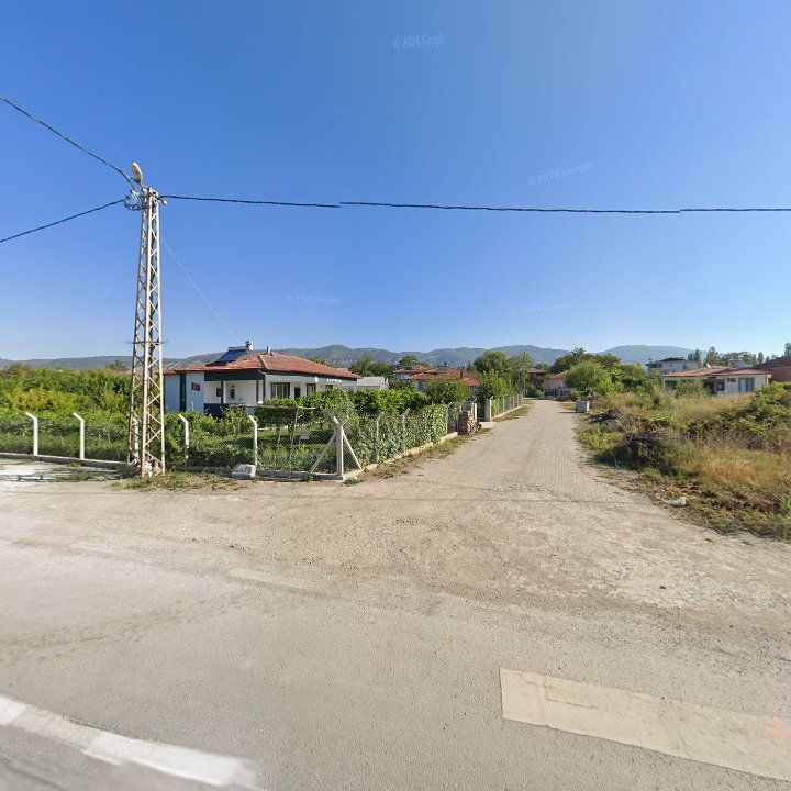 Fotoğraf 2