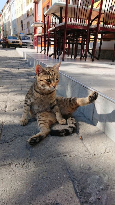 Yorum fotoğrafı 2