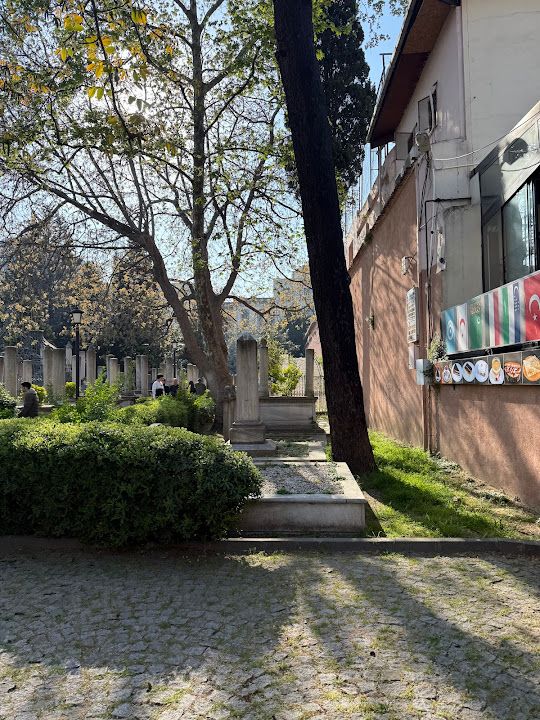 Yorum fotoğrafı 2