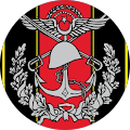 Türk Silahlı Kuvvetleri