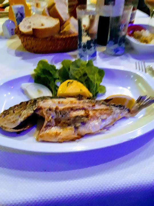 Fotoğraf 29
