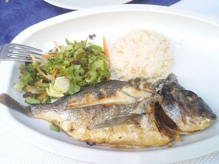 Fotoğraf 23