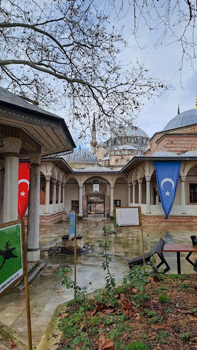 Fotoğraf 87