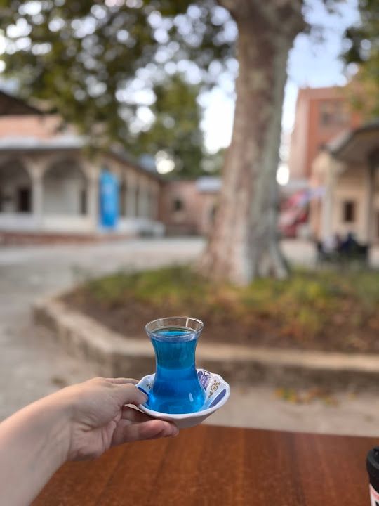 Fotoğraf 78