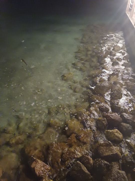 Yorum fotoğrafı 4