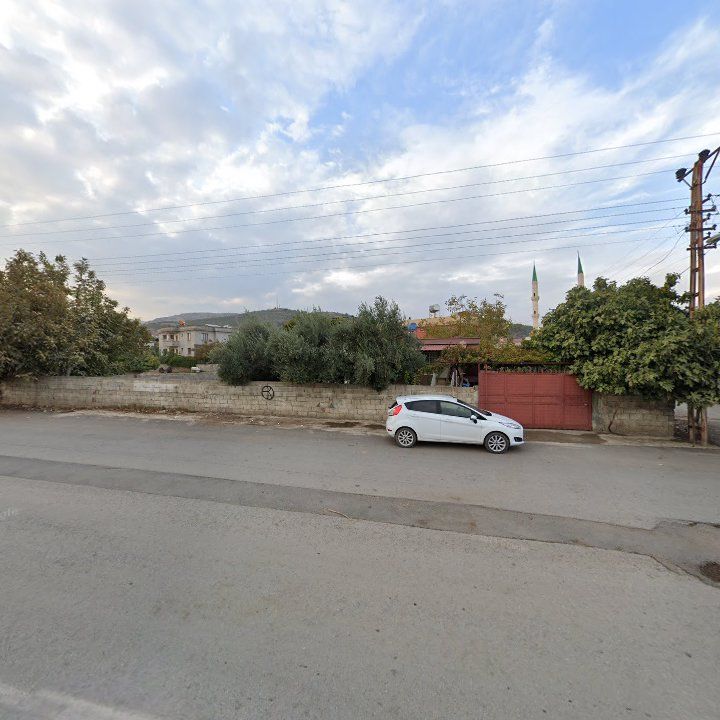 Fotoğraf 6
