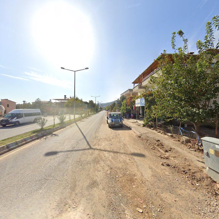 Fotoğraf 7