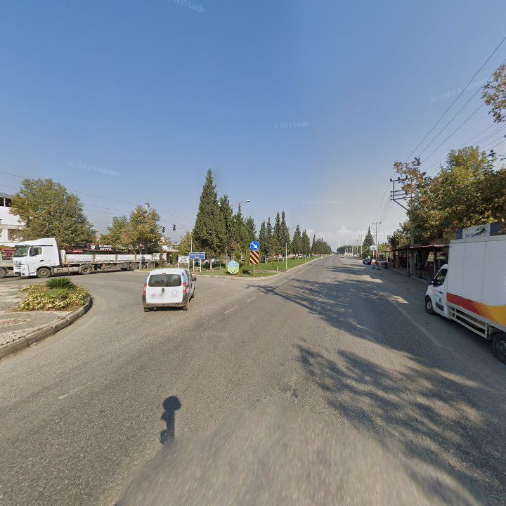 Fotoğraf 7