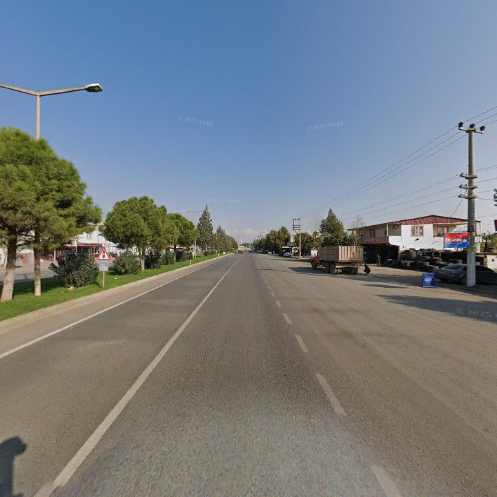 Fotoğraf 12