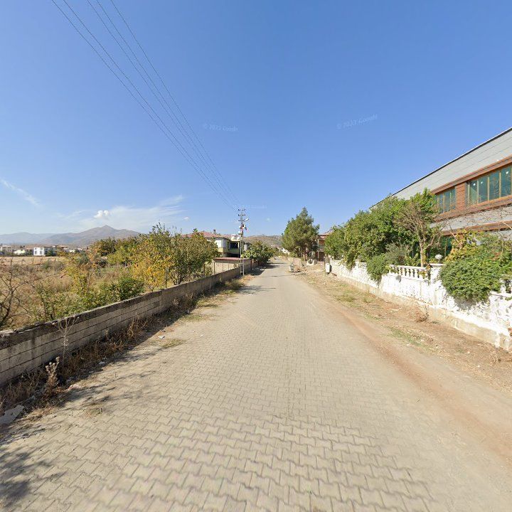 Fotoğraf 9