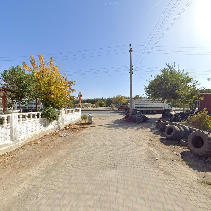 Fotoğraf 7