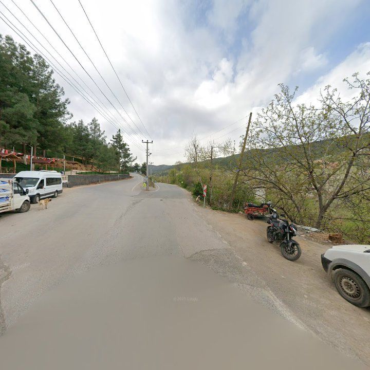 Fotoğraf 10