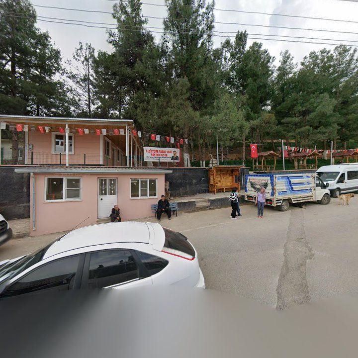 Fotoğraf 9