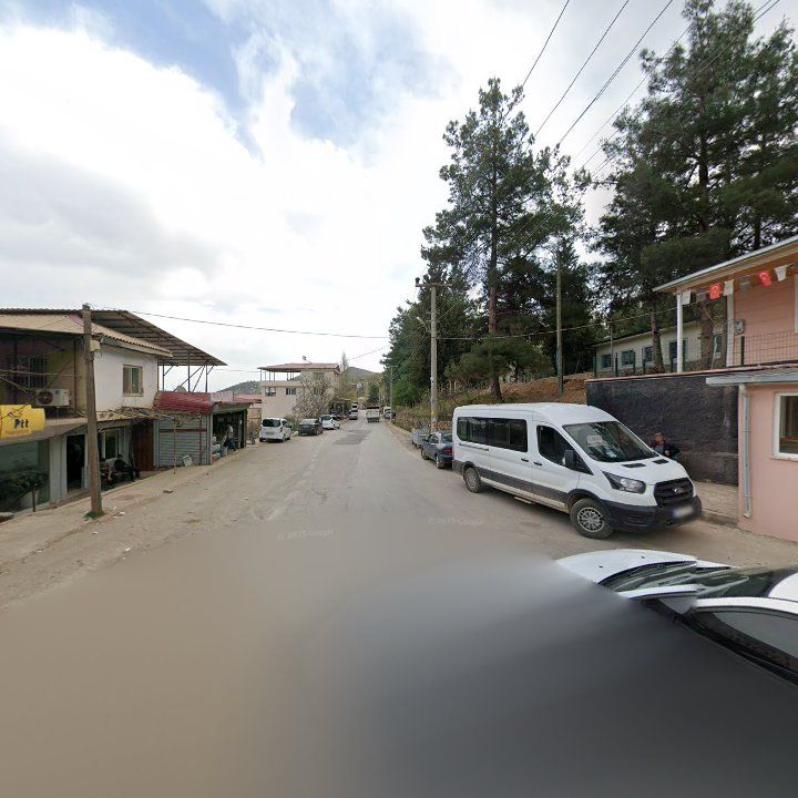 Fotoğraf 8